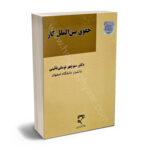 حقوق بین المللل کار